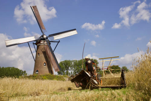 Windmolen de Roosdonck