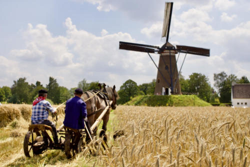 Windmolen de Roosdonck