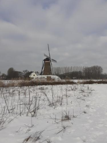roosdonck-winter 06