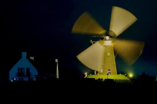 Foto: F. van Welie, 2021